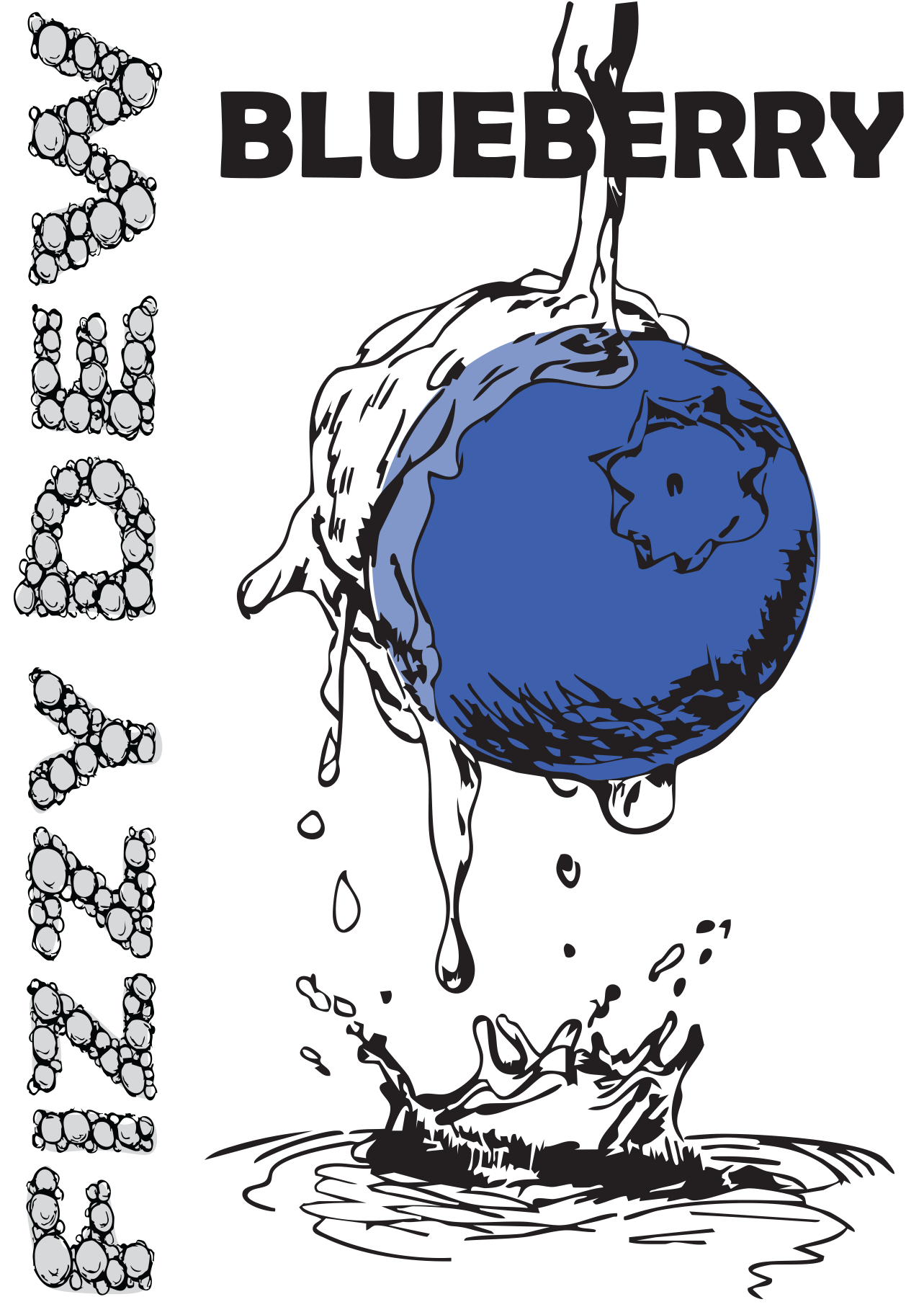 Flyer 1